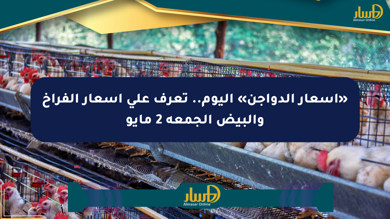 «أسعار الدواجن» اليوم.. تعرف على أسعار الفراخ والبيض الجمعة 2 مايو